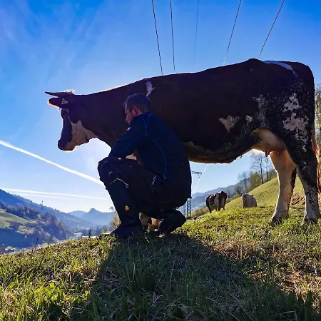 Farm stay Biohof Loefferl *