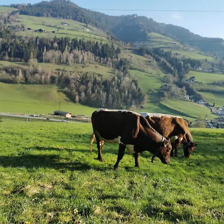 Biohof Loefferl *
